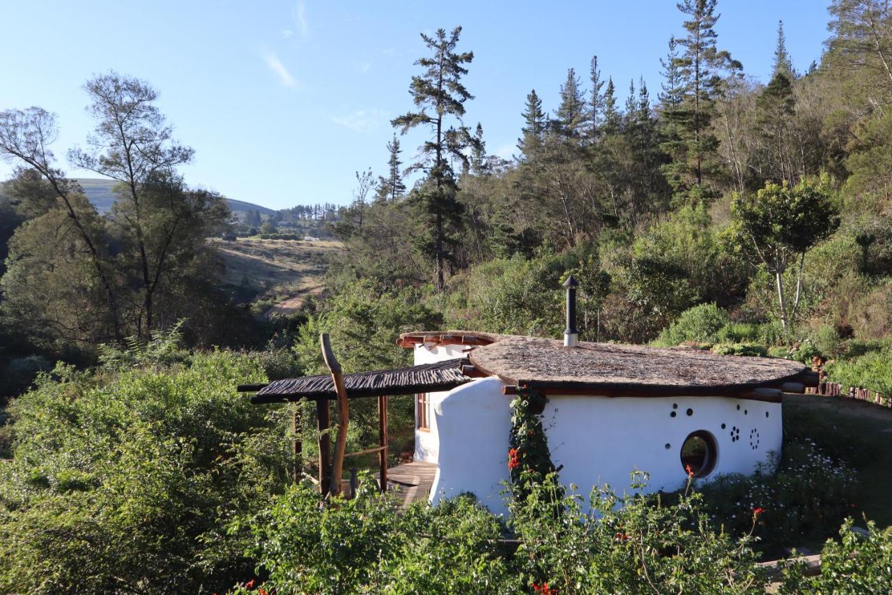 Half Moon Hollow Eco Cottage Mossel Bay Esterno foto
