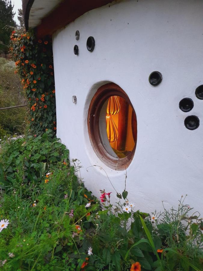 Half Moon Hollow Eco Cottage Mossel Bay Esterno foto